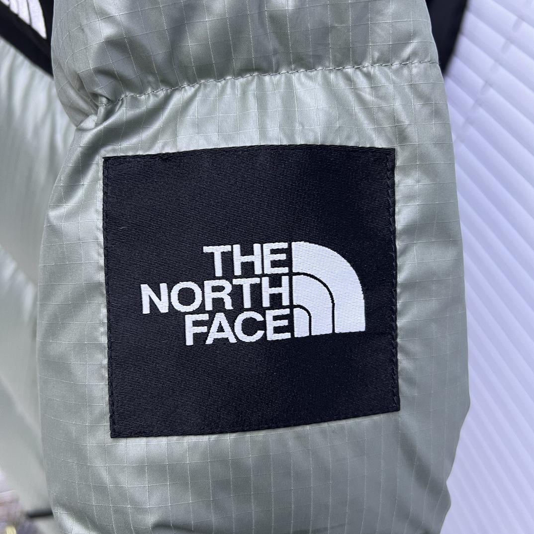 The North Face Down Jackets